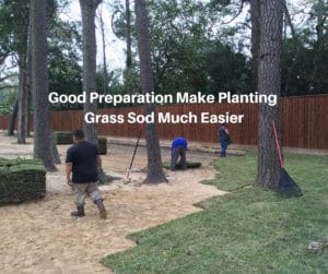 Good Preparation Makes Planting Grass Sod Much Easier