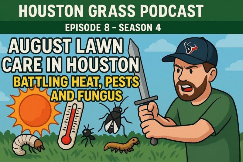 August Lawn Care in Houston - Fighting Heat, Pests and Fungus