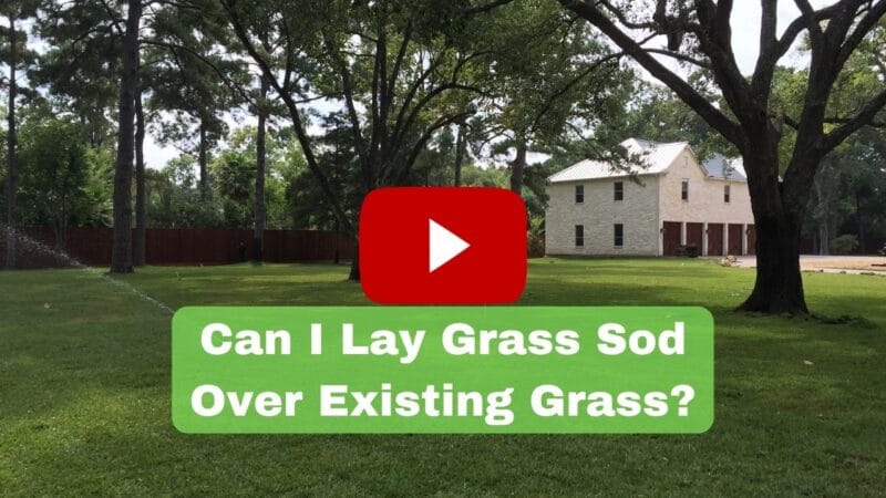 Can I Lay Grass Sod Over Existing Grass