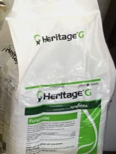 Heritage G for Brown Patch