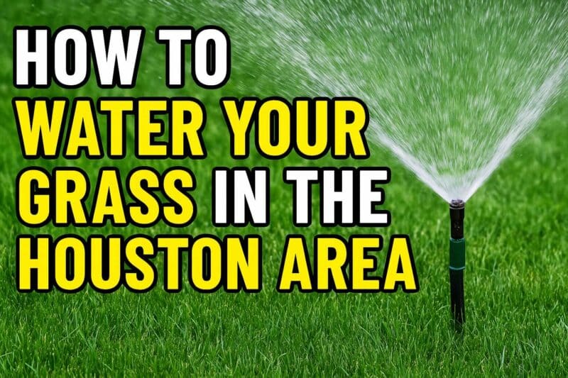 How to Water Your Grass in the Houston Area