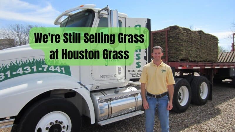 We're Still Selling Grass at Houston Grass