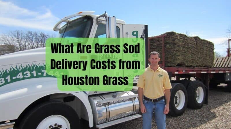 What Are Grass Sod Delivery Costs from Houston Grass