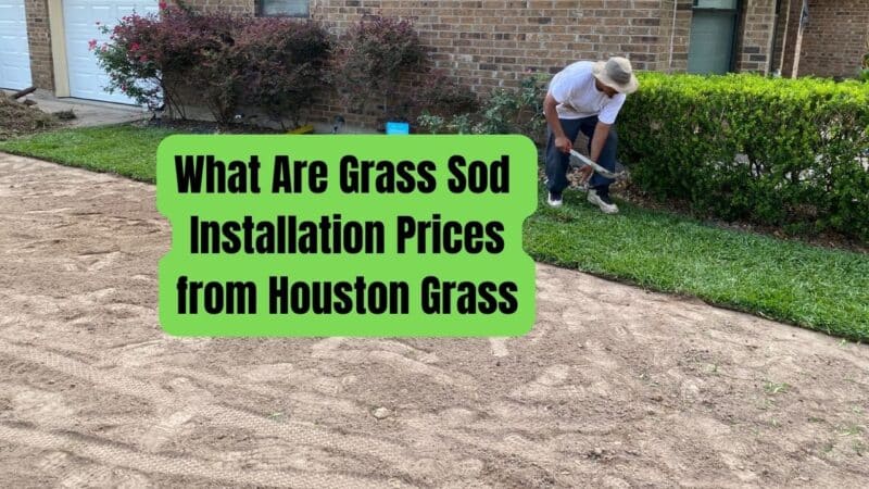 What Are Grass Sod Installation Prices from Houston Grass
