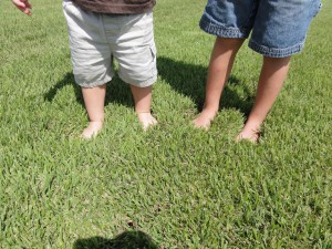 Quality Grass Sod from Houston Grass