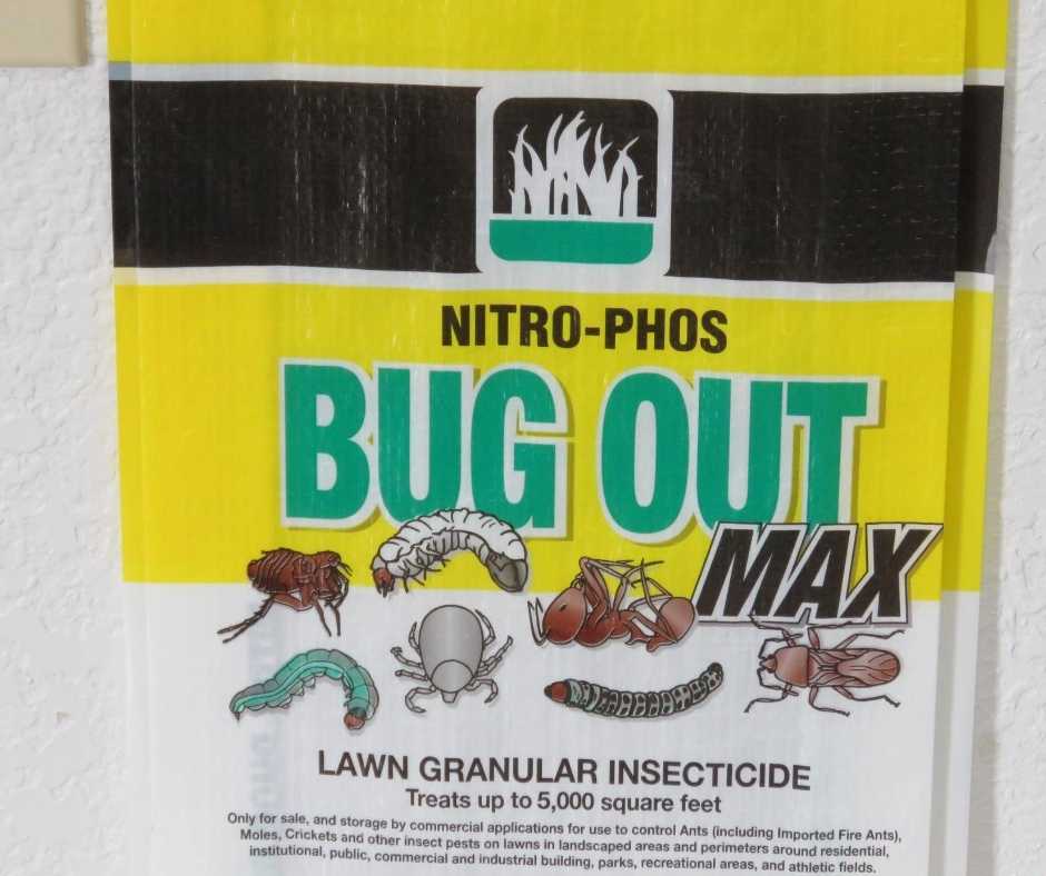 How to Identify and Treat Sod Webworms - Houston Grass - Pearland