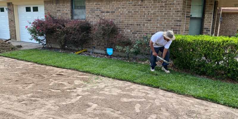 grass sod installation services - Houston Grass