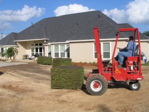 Can I Lay Sod in Fall and Winter - Houston Grass South