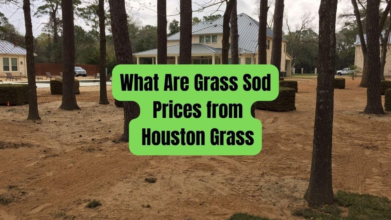 Grass Sod Prices at Houston Grass - Pearland Sugar Land