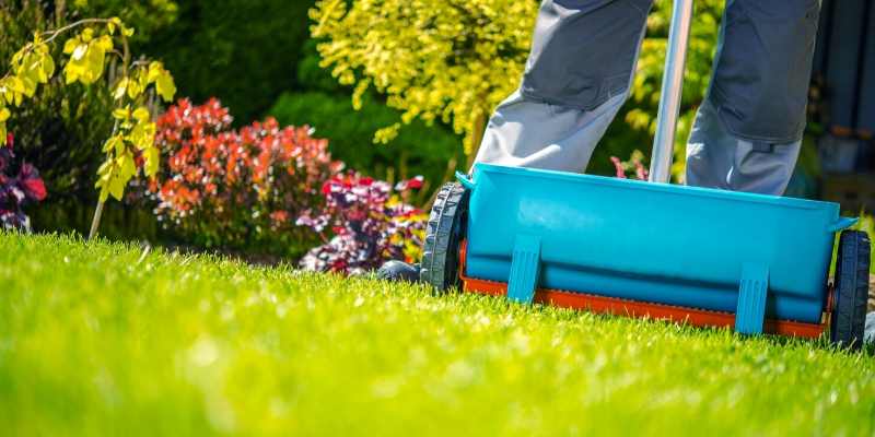 When Should You Fertilize New Sod - Houston Grass